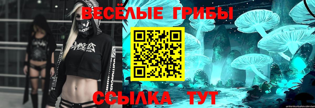 Псилоцибиновые грибы ЛСД  Вход с VPN  Сухой Лог  Галлюциногенные грибы GOLDEN TEACHER 